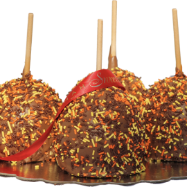 Fall Caramel Apples – Gift box pack of 4